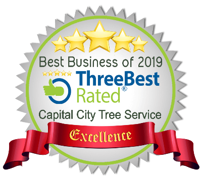 voted top 3 tree service st albert 2018